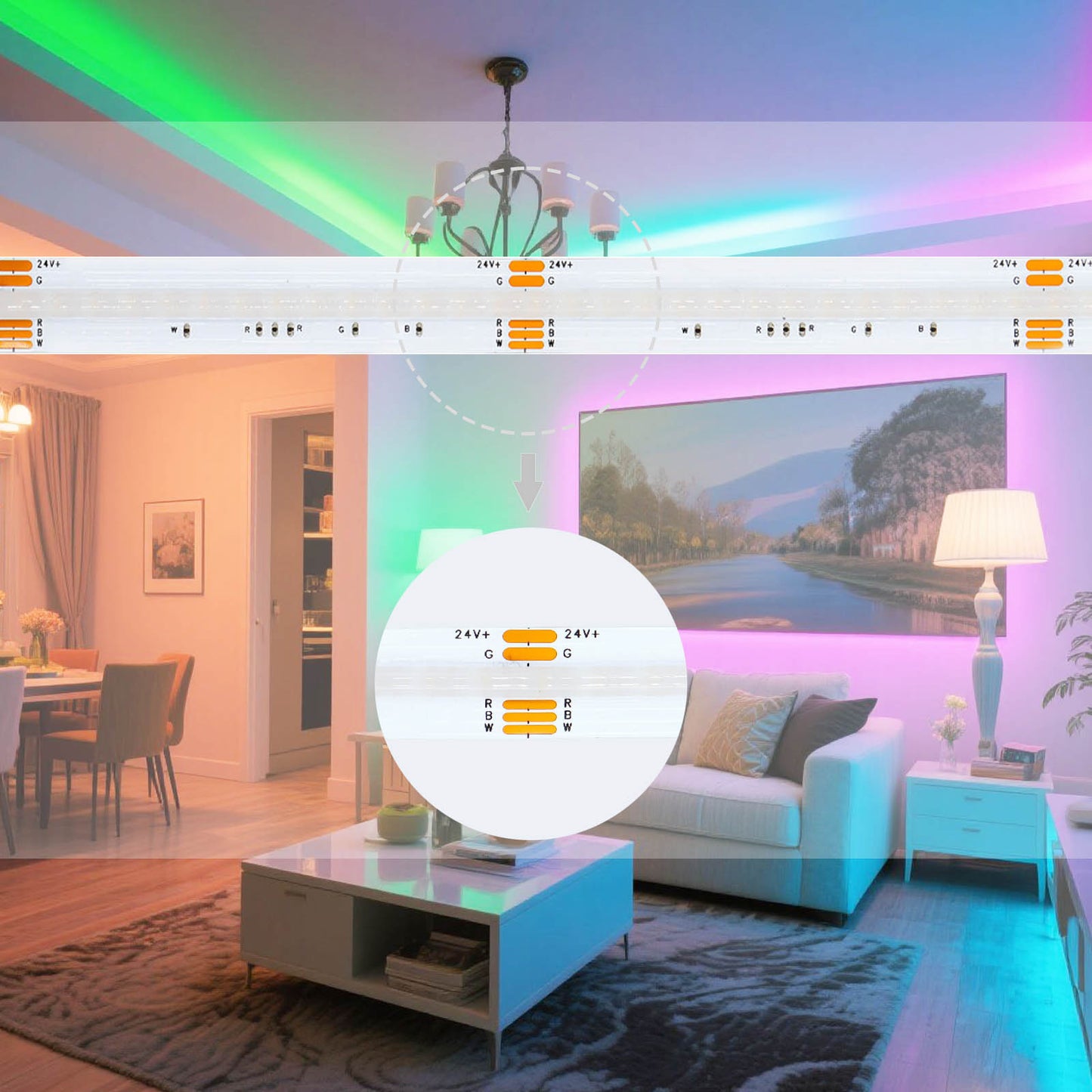 Premium 24V COB LED Strip RGBWW 4-in-1 - 784 LEDs/meter Ultra Bright 5M Roll with Warm White