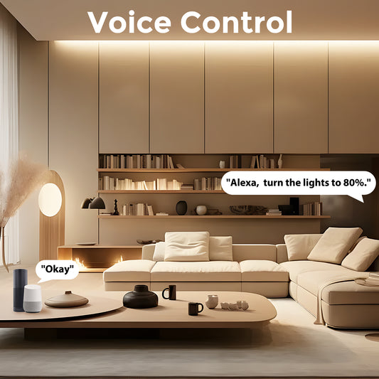 Wifi Monochrome Dimmer For Android, iOS, Alexa, LED Light Strip Controller, Warm White or Cool white