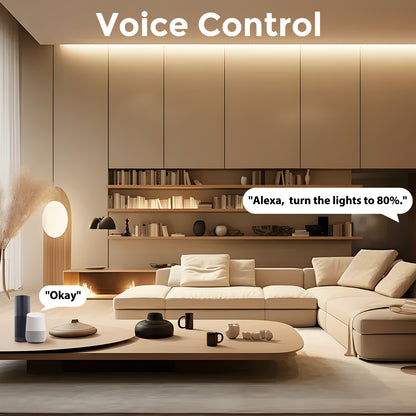 Wifi Monochrome Dimmer For Android, iOS, Alexa, LED Light Strip Controller, Warm White or Cool white